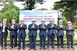 Le Japon offre 24 cerisiers à la province de Gia Lai