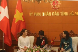 Ha Nam promeut les relations de coopération dans la production verte avec le Danemark