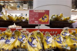 Le Vietnam participe à Foodex Japan 2022