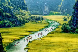 L’OMS loue le Vietnam pour son engagement dans la lutte contre le changement climatique