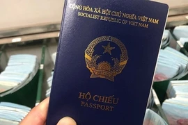 L’ambassade du Vietnam en Allemagne délivre une attestation complémentaire pour le nouveau passeport