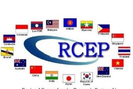 Le RCEP, le plus grand accord de libre-échange au monde, entre en vigueur