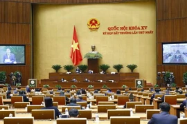 Session extraordinaire de l’AN : débat sur deux questions importantes