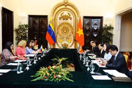Promouvoir les relations commerciales et d'investissement Vietnam-Venezuela