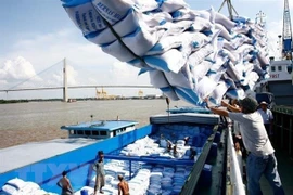 Profiter des opportunités pour les exportations du riz