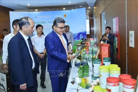 Le commerce et le tourisme offrent des opportunités de coopération Vietnam- Israël