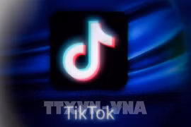 TikTok supprime plus de 2,4 millions de vidéos publiées par des utilisateurs vietnamiens