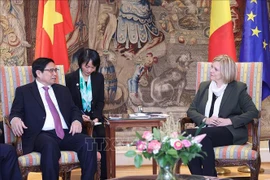 Le PM Pham Minh Chinh rencontre la présidente de la Chambre des représentants de Belgique