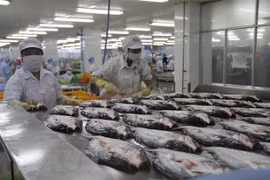 La croissance économique du Vietnam en 2022 estimée à 6,5-6,7%