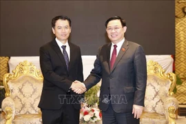 Le président de l’Assemblée nationale du Vietnam reçoit le président de l’Audit d’État du Laos