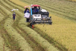 Stratégie pour une agriculture et un développement rural durables pour 2021-2030