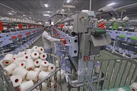 Le RCEP aide à améliorer l’accès du Vietnam aux grands marchés de consommation