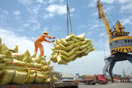 Les exportations de riz vers l’ASEAN affichent une forte progression