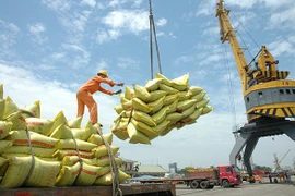 Les exportations de riz vers l’ASEAN affichent une forte progression