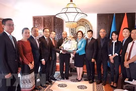 Renforcement des relations d’amitié Vietnam-Laos