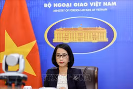 Le Vietnam reconnaît des difficultés rencontrées par des étrangers lors de la demande de visa 