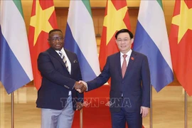 Entrevue entre Vuong Dinh Hue et Julius Maada Bio