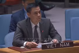 ONU : le Vietnam prêt à coopérer avec d'autres pays dans les activités de maintien de la paix 