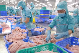 Les exportations de produits aquatiques progressent de 34% en dix mois