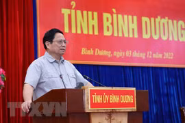 Le PM exhorte Binh Duong à oeuvrer au développement rapide et durable