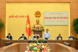 15e AN : les affaires extérieures au début du mandat laissent de belles empreintes 