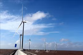 Le Vietnam sollicite le soutien du GWEC pour atteindre le zéro émission nette