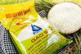Le riz vietnamien à la conquête du marché international