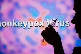 Le Vietnam n'enregistre pas de cas de Monkeypox (variole du singe)