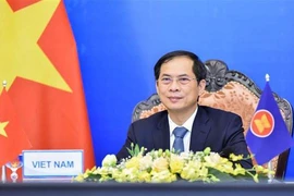Le ministre des AE Bui Thanh Son à l’AMM Retreat