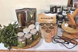 Les entreprises investissent pour élever la valeur ajoutée des produits agricoles