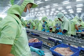 Le pangasius vietnamien cherche à accélérer sa dynamique de croissance vers la Malaisie