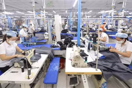 Le Vietnam devient le principal fournisseur agricole du Royaume-Uni 