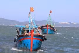 Binh Thuân veille à ses ressources halieutiques et lutte contre la pêche INN