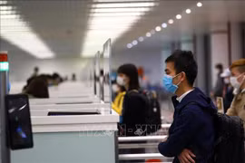 Réaction du Département de l'immigration face aux informations sur la délivrance électronique de visas