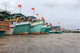  Cà Mau : tous les bateaux de pêche dotés d’équipements de surveillance de croisière