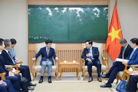 Renforcement de la coopération décentralisée Vietnam-Japon