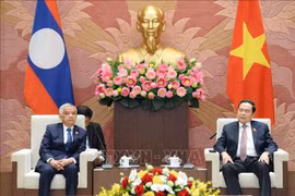 Promotion des relations d’amitié traditionnelles Vietnam-Laos