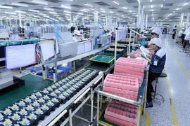 Superviser et évaluer les activités d'investissement étranger au Vietnam