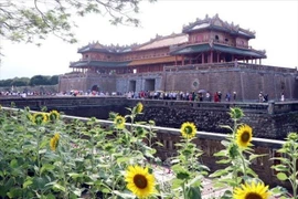 Thua Thien-Hue accueille environ 47.000 visiteurs pendant les vacances du Têt