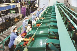 Lâm Dông vise une agriculture durable et moderne
