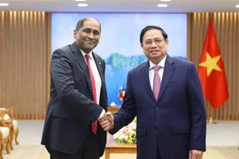 Le PM Pham Minh Chinh plaide pour des liens accrus avec Singapour 