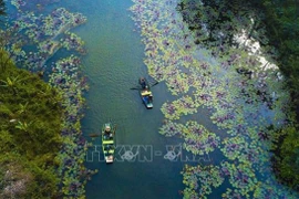 Révolution numérique du tourisme vietnamien : importance des entreprises pionnières