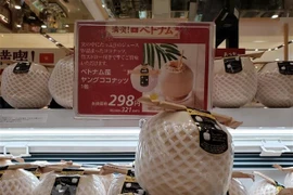 Les entreprises vietnamiennes veulent booster leurs exportations vers le Japon