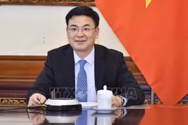 Honorer la langue vietnamienne dans la communauté vietnamienne à l’étranger 