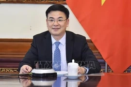 Honorer la langue vietnamienne dans la communauté vietnamienne à l’étranger 
