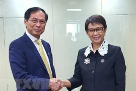 Le Vietnam, l'Indonésie et le Brunei conviennent de booster leurs relations