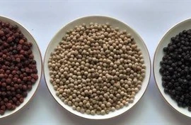 Davantage d'opportunités d'exportation de poivres vers l'Europe