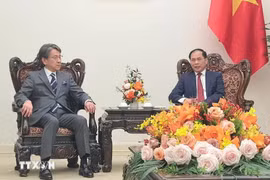 Le vice-Premier ministre et ministre des Affaires étrangères Bui Thanh Son (droite) reçoit le président du conseil d'administration de la Banque japonaise pour la coopération internationale (JBIC), Maeda Tadashi. Photo: VNA
