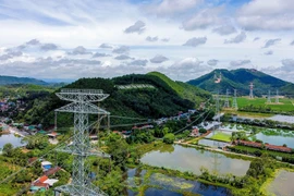 Le projet de la ligne 500kV circuit 3 Quang Trach – Phô Nôi s'achève dans des délais rapides