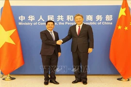 Le ministre de l’Industrie et du Commerce, Nguyen Hong Dien (gauche), et le ministre chinois du Commerce, Wang Wentao. Photo: VNA